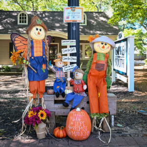 Scarecrow # 12 - The Joyful Child