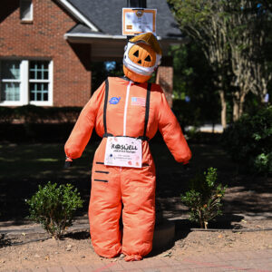 Scarecrow # 26 - RNE
