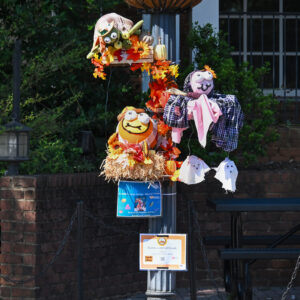 Scarecrow # 35 - Bubbles with Fall Friends