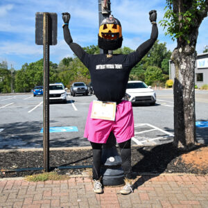 Scarecrow # 48 - Straw-ngman