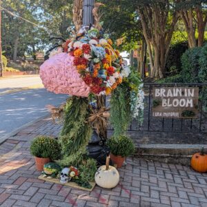 Scarecrow # 64 - Neuroplasticity in Bloom