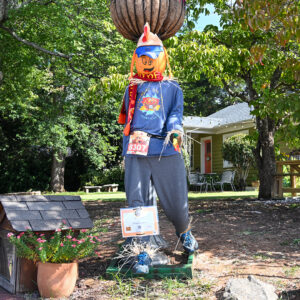 Scarecrow # 66 - We run Roswell