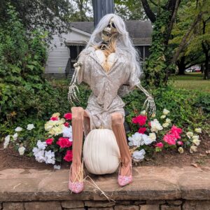 Scarecrow # 77 - Dolly’s Garden